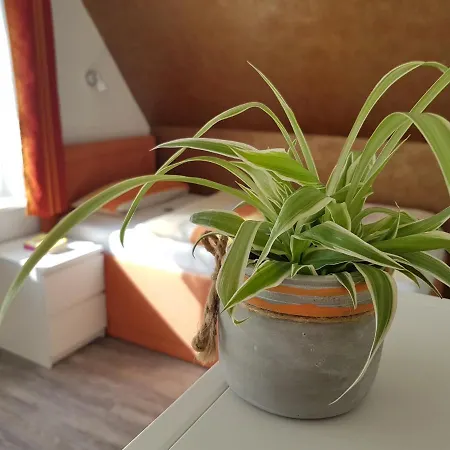 Gaestehaus Arkona 3*