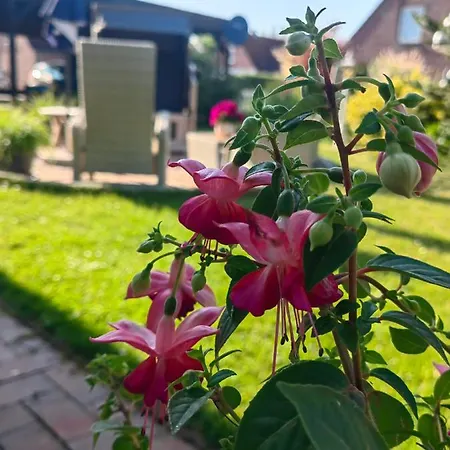 Gaestehaus Arkona Pensjonat Tönning